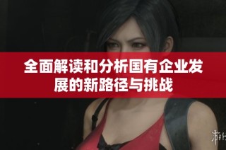 全面解读和分析国有企业发展的新路径与挑战