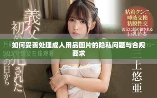 如何妥善处理成人用品图片的隐私问题与合规要求