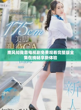 南风知我意电视剧免费观看完整版全集在线畅享新体验