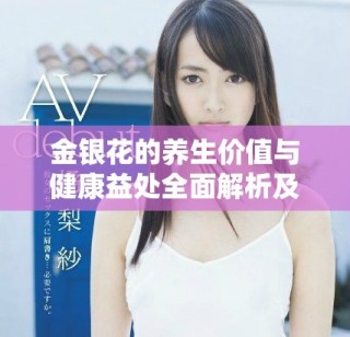 金银花的养生价值与健康益处全面解析及应用指南