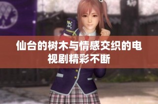 仙台的树木与情感交织的电视剧精彩不断