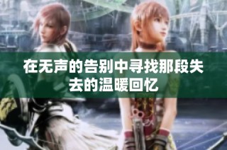 在无声的告别中寻找那段失去的温暖回忆