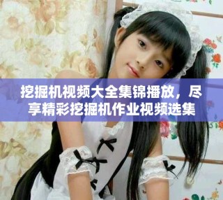 挖掘机视频大全集锦播放，尽享精彩挖掘机作业视频选集