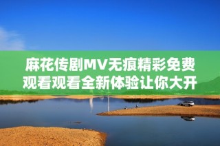 麻花传剧MV无痕精彩免费观看观看全新体验让你大开眼界
