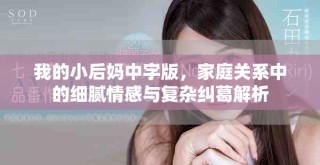 我的小后妈中字版，家庭关系中的细腻情感与复杂纠葛解析