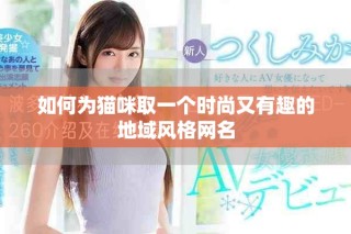 如何为猫咪取一个时尚又有趣的地域风格网名