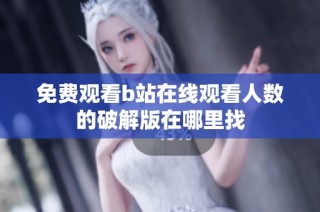 免费观看b站在线观看人数的破解版在哪里找