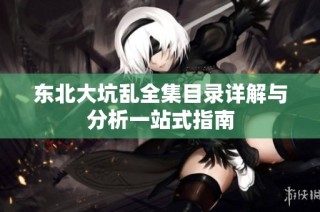 东北大坑乱全集目录详解与分析一站式指南