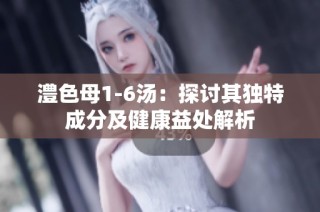 澧色母1-6汤：探讨其独特成分及健康益处解析