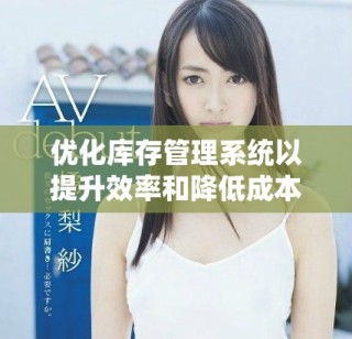 优化库存管理系统以提升效率和降低成本的策略分析