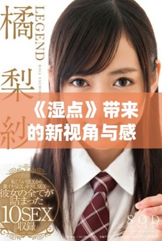 《湿点》带来的新视角与感悟：探讨生活中的湿润与干燥