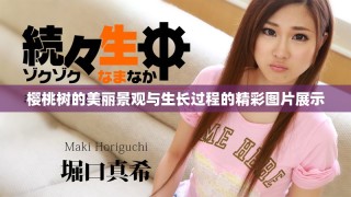 樱桃树的美丽景观与生长过程的精彩图片展示