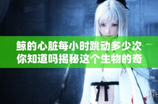 鲸的心脏每小时跳动多少次你知道吗揭秘这个生物的奇妙之处