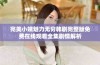 完美小姨魅力无穷韩剧完整版免费在线观看全集剧情解析