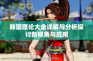 韩国理论大全详解与分析探讨新视角与应用