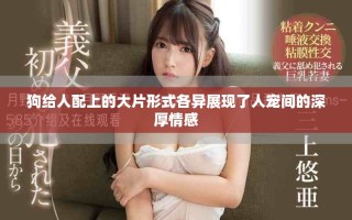 狗给人配上的大片形式各异展现了人宠间的深厚情感