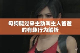 母狗爬过来主动叫主人爸爸的有趣行为解析