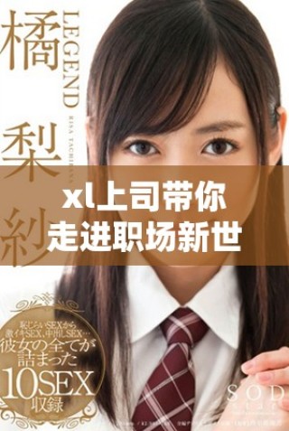 xl上司带你走进职场新世界，探索成长与发展的无限可能
