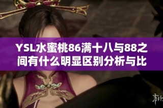 YSL水蜜桃86满十八与88之间有什么明显区别分析与比较