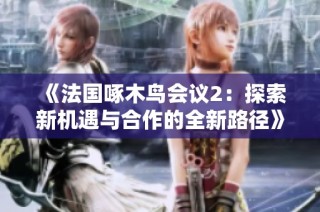 《法国啄木鸟会议2：探索新机遇与合作的全新路径》