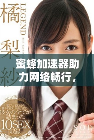 蜜蜂加速器助力网络畅行，提升用户体验全新选择