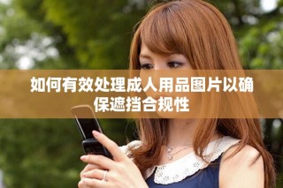 如何有效处理成人用品图片以确保遮挡合规性