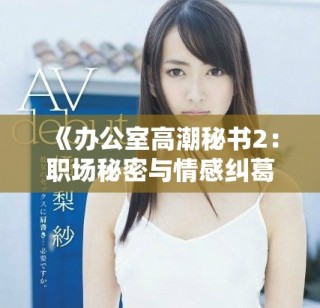 《办公室高潮秘书2：职场秘密与情感纠葛的双重奏》