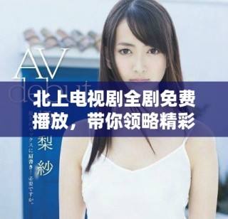 北上电视剧全剧免费播放，带你领略精彩故事与人物情感