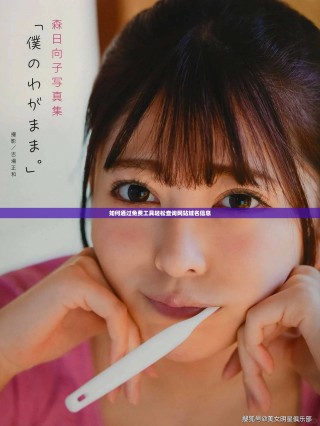 如何通过免费工具轻松查询网站域名信息