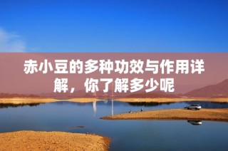 赤小豆的多种功效与作用详解，你了解多少呢