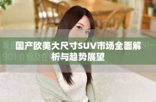 国产欧美大尺寸SUV市场全面解析与趋势展望