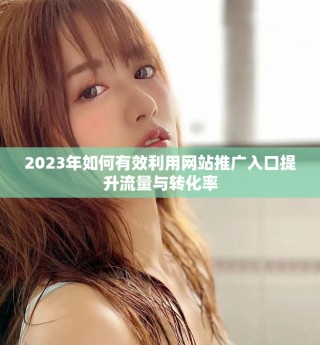 2023年如何有效利用网站推广入口提升流量与转化率