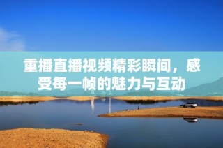 重播直播视频精彩瞬间，感受每一帧的魅力与互动