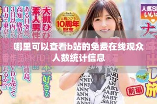 哪里可以查看b站的免费在线观众人数统计信息