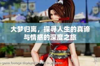 大梦归离，探寻人生的真谛与情感的深度之旅