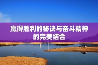 赢得胜利的秘诀与奋斗精神的完美结合