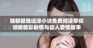 陆朝朝陆远泽小说免费阅读带你领略精彩剧情与动人爱情故事