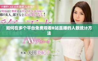 如何在多个平台免费观看B站直播的人数统计方法