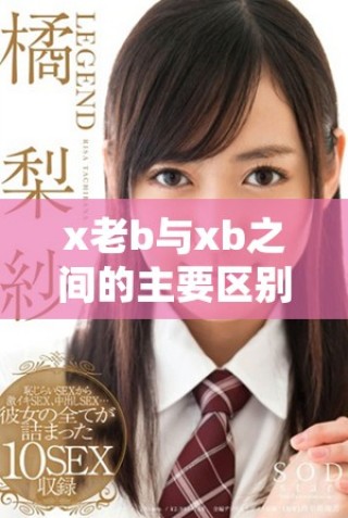 x老b与xb之间的主要区别分析和比较