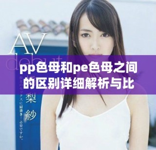 pp色母和pe色母之间的区别详细解析与比较