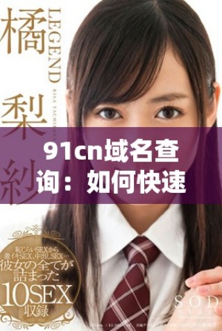 91cn域名查询：如何快速获取域名信息与使用指南