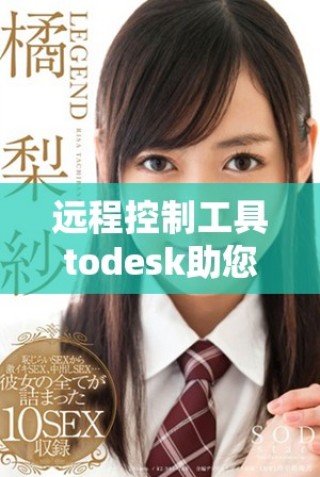 远程控制工具todesk助您轻松实现高效远程协作与管理