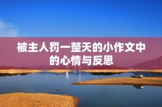 被主人罚一整天的小作文中的心情与反思