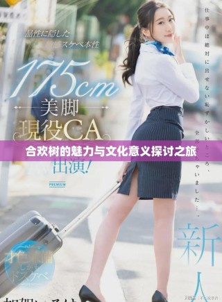 合欢树的魅力与文化意义探讨之旅