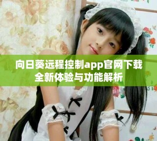 向日葵远程控制app官网下载全新体验与功能解析