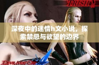 深夜中的迷情h文小说，探索禁忌与欲望的边界