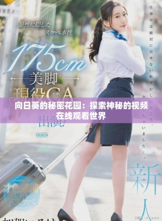 向日葵的秘密花园：探索神秘的视频在线观看世界