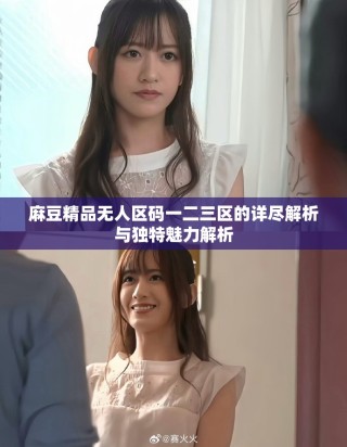 麻豆精品无人区码一二三区的详尽解析与独特魅力解析