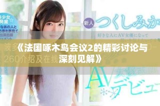 《法国啄木鸟会议2的精彩讨论与深刻见解》
