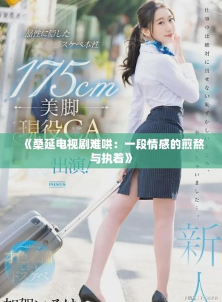 《桑延电视剧难哄：一段情感的煎熬与执着》